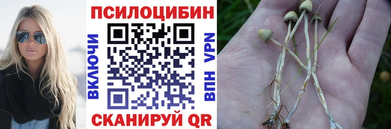 Псилоцибиновые грибы ЛСД Пущино