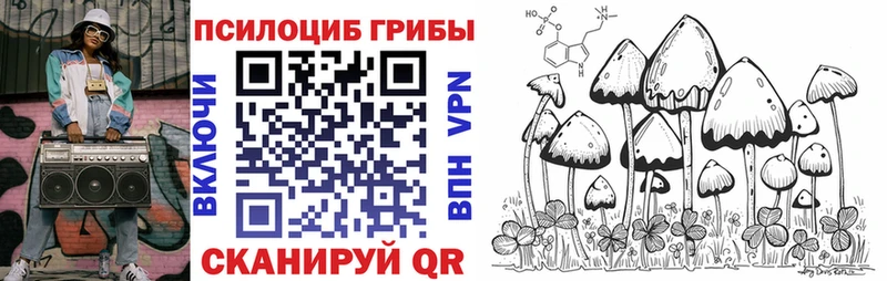 Псилоцибиновые грибы GOLDEN TEACHER хочу наркоту Пущино